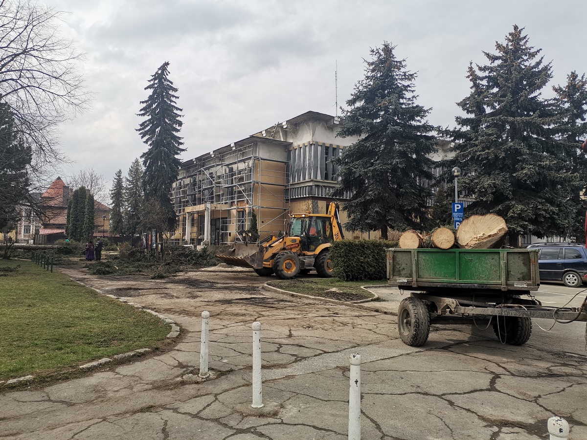 Barabás-Pál Hajnalka